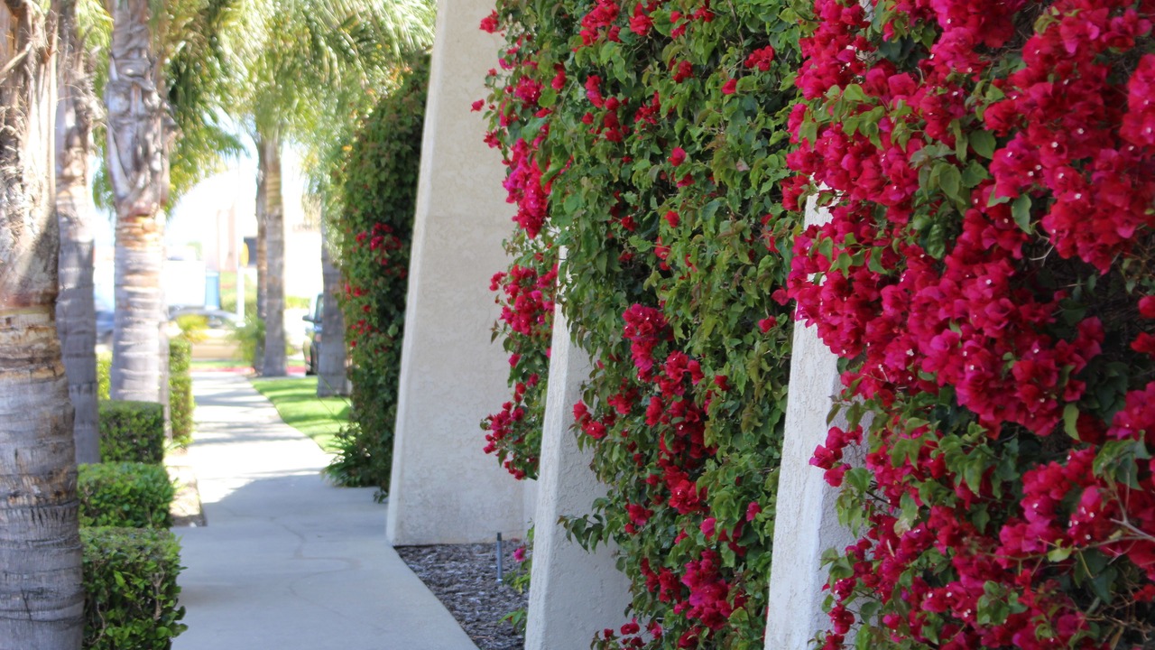 Photo of Outdoor in Lompoc