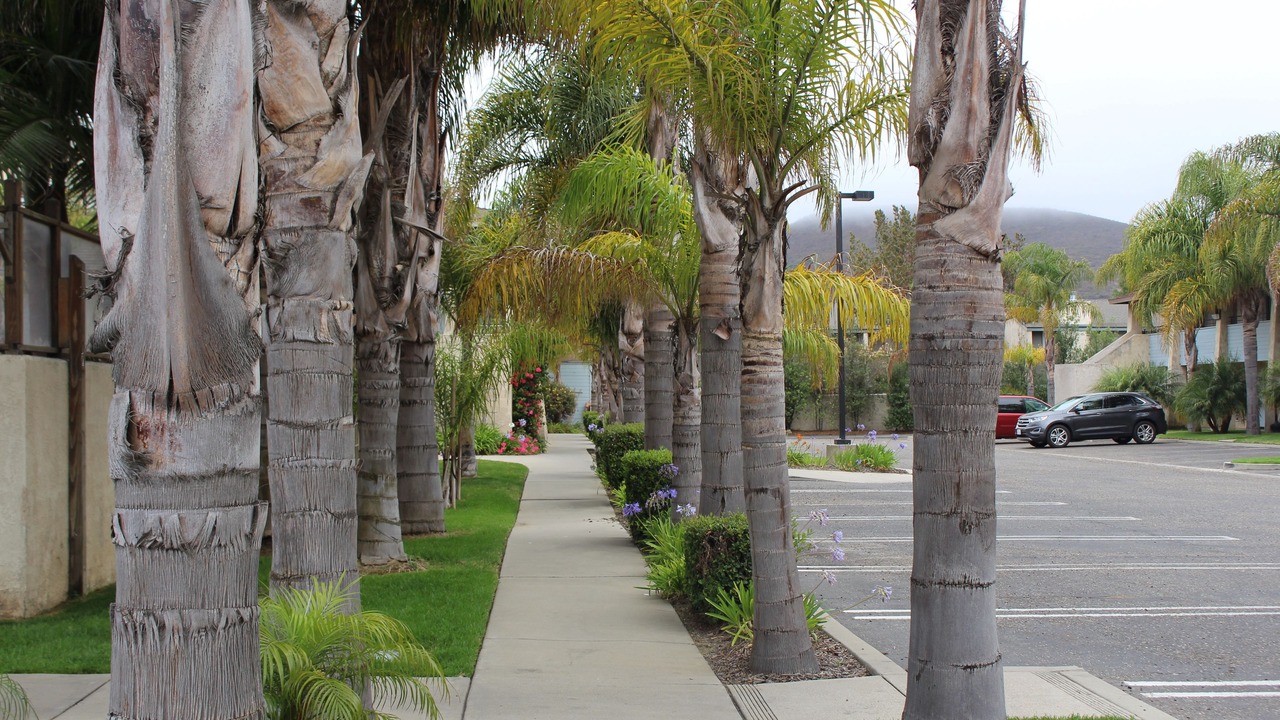 Photo of Outdoor in Lompoc