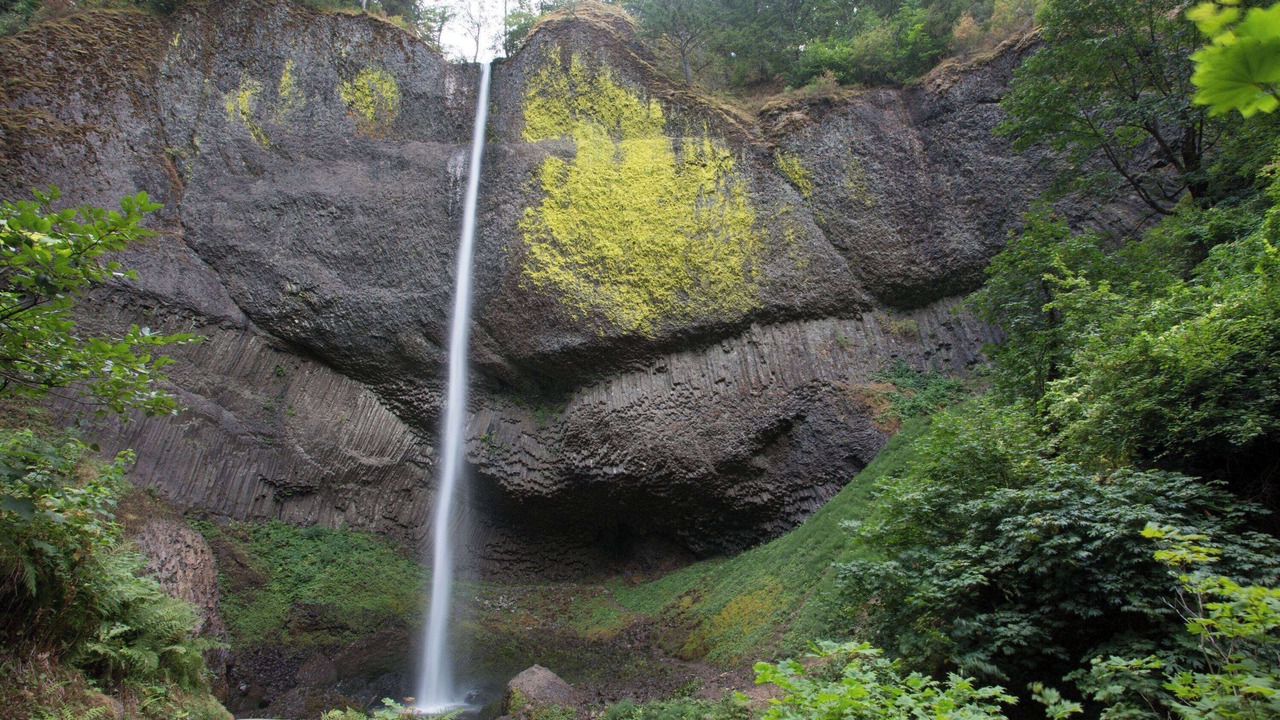 Photo of Outdoor in Wood Village