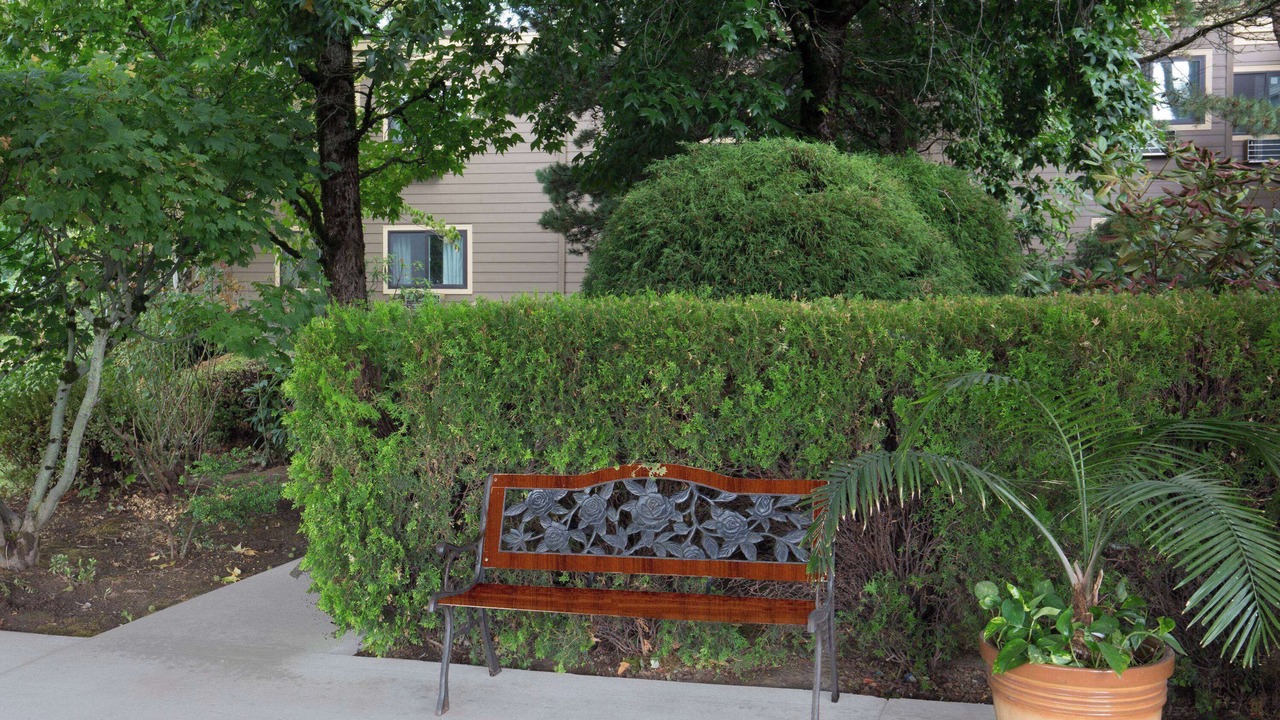 Photo of Outdoor in Wood Village