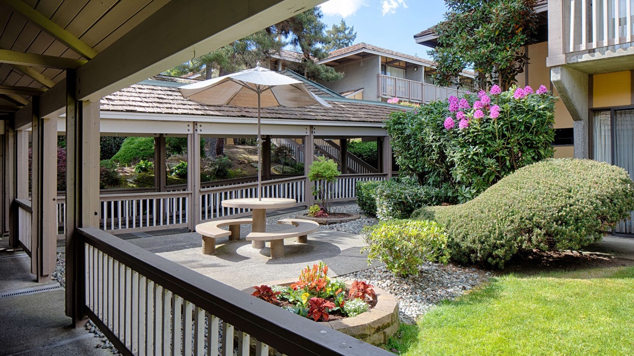 Photo of Outdoor in West Bellevue