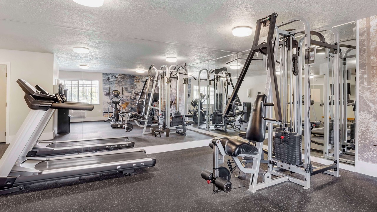 Photo of Others in Springfield