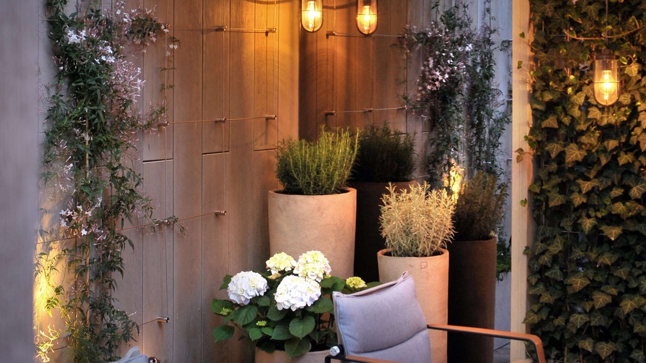 Photo of Others in Belgravia