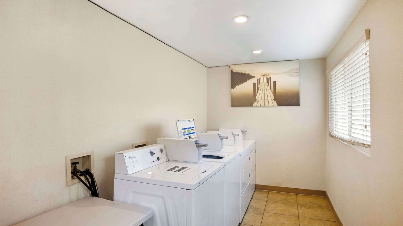 Photo of Others in Woodland