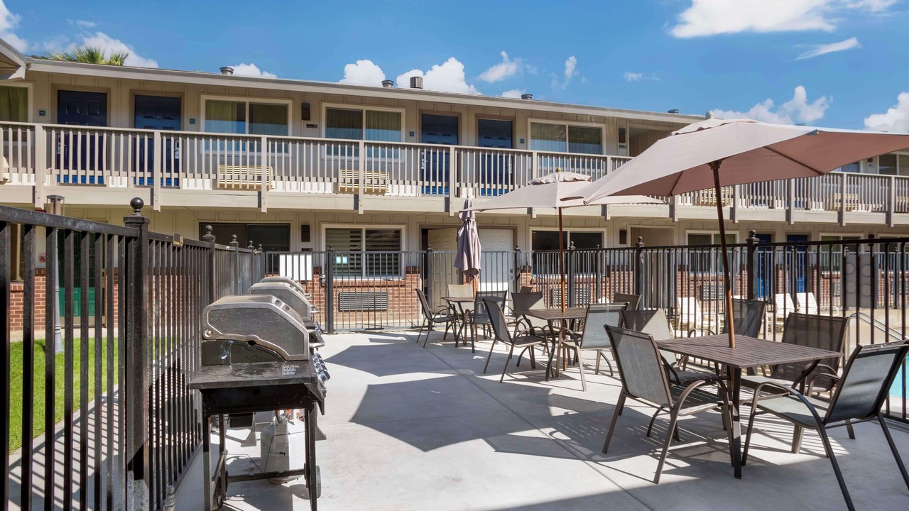 Photo of Others in Woodland