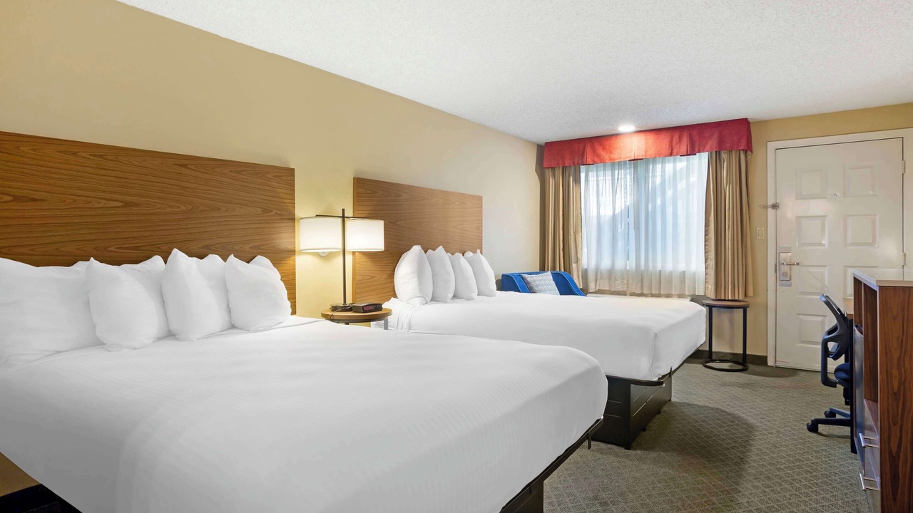 Photo of Others in Woodland