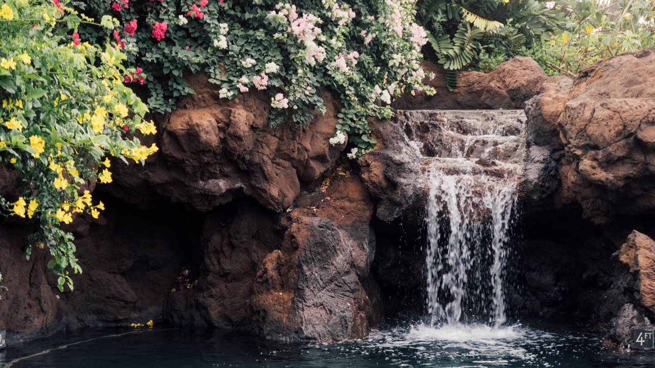 Photo of Others in Lanai City