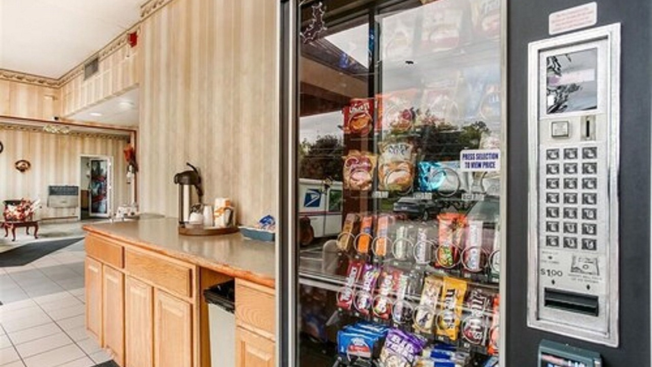 Photo of Others in York