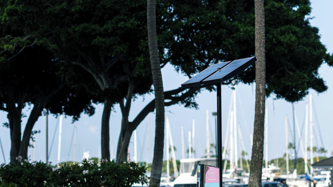 Photo of Outdoor in Waikiki