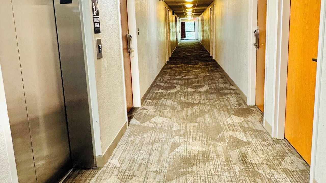 Photo of Others in Milford