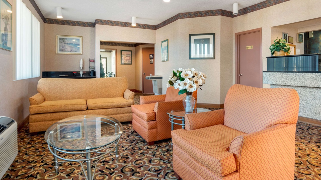 Photo of Others in Forest