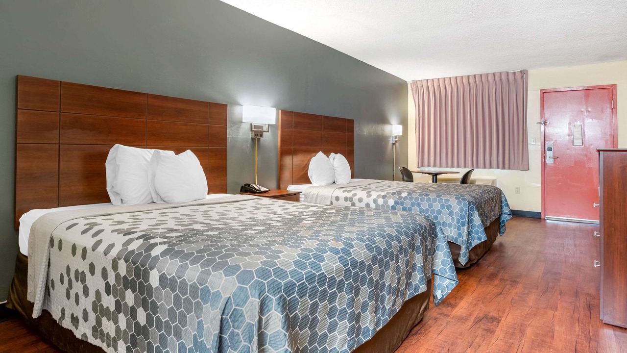 Photo of Others in Forest