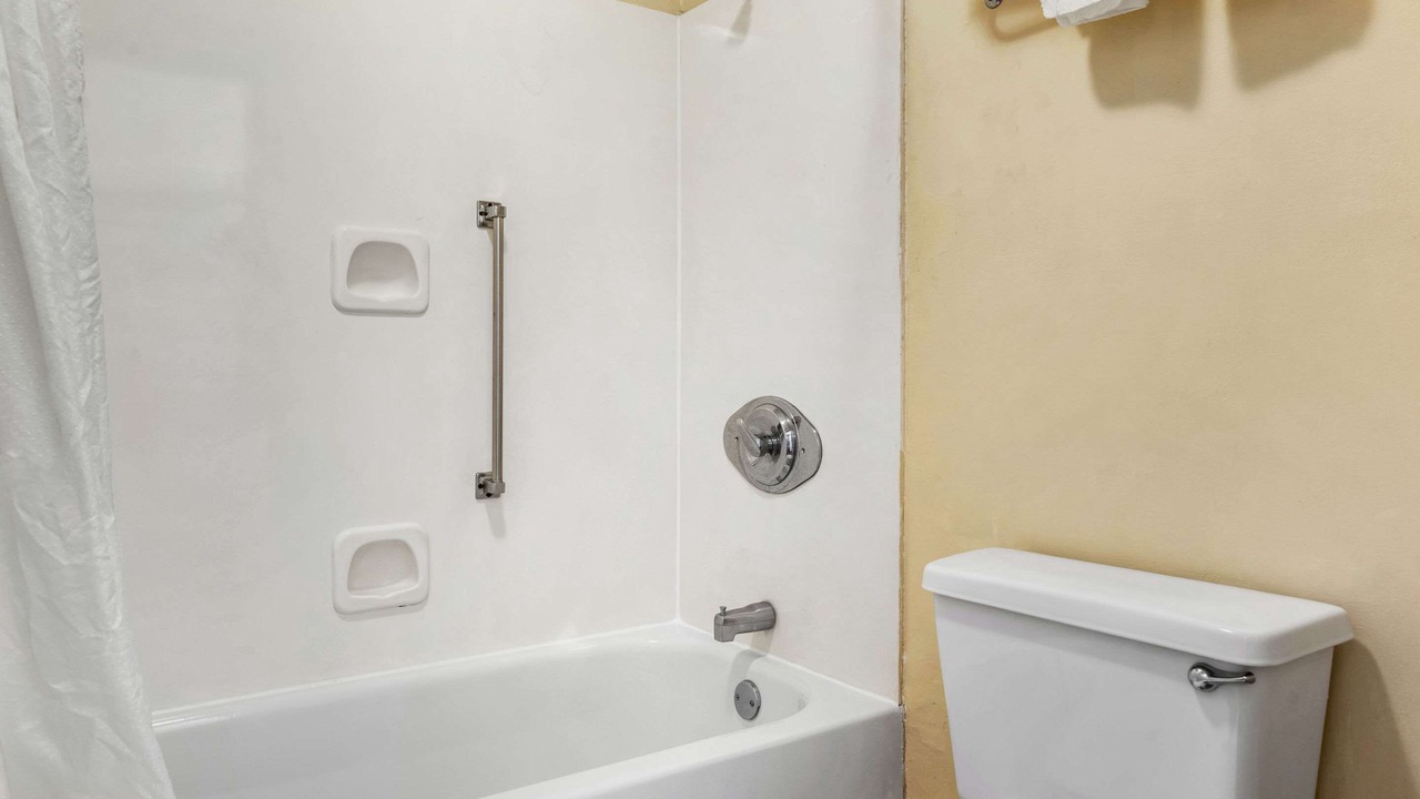 Photo of Others in Forest