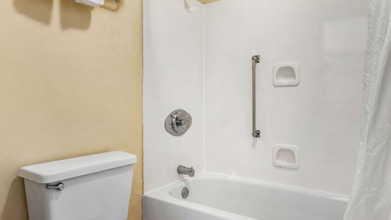 Photo of Others in Forest