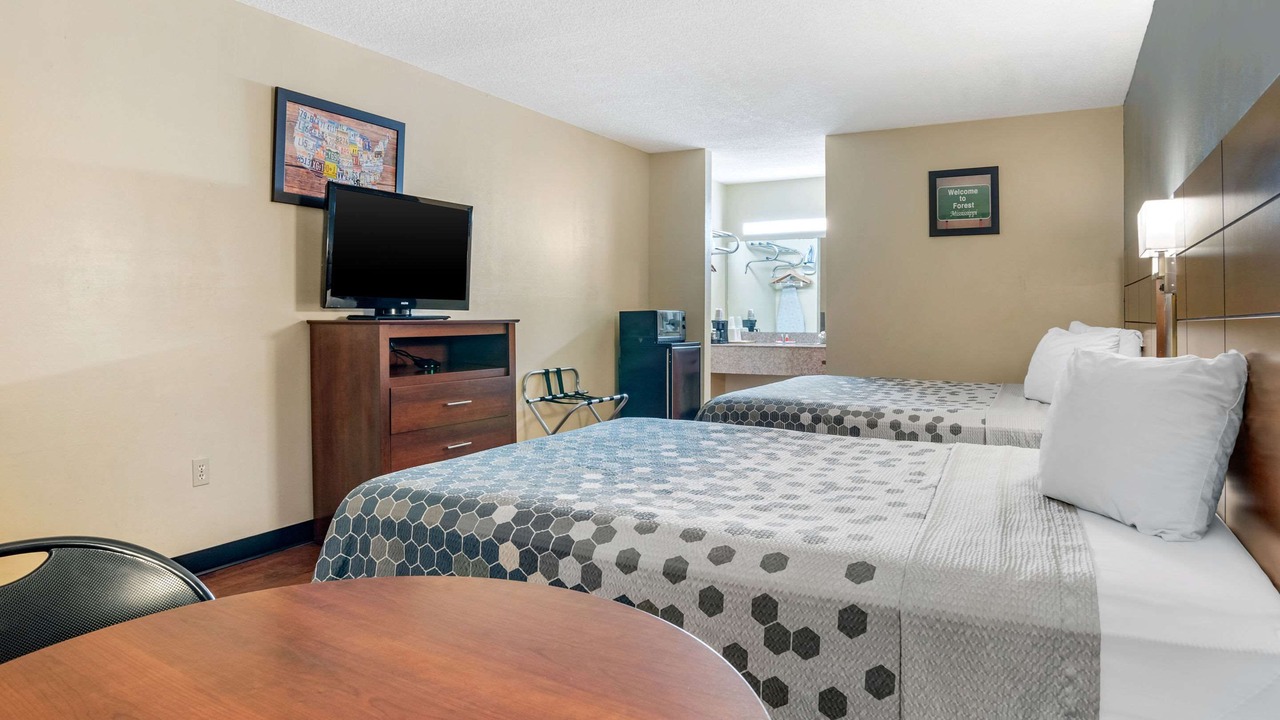 Photo of Others in Forest