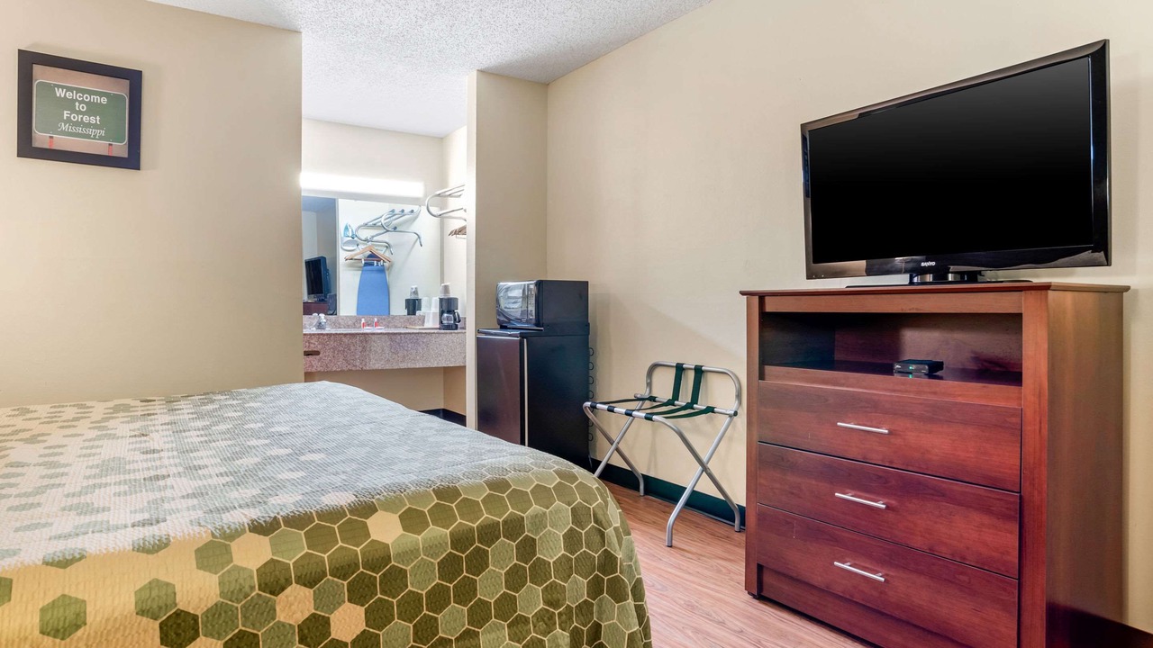 Photo of Others in Forest