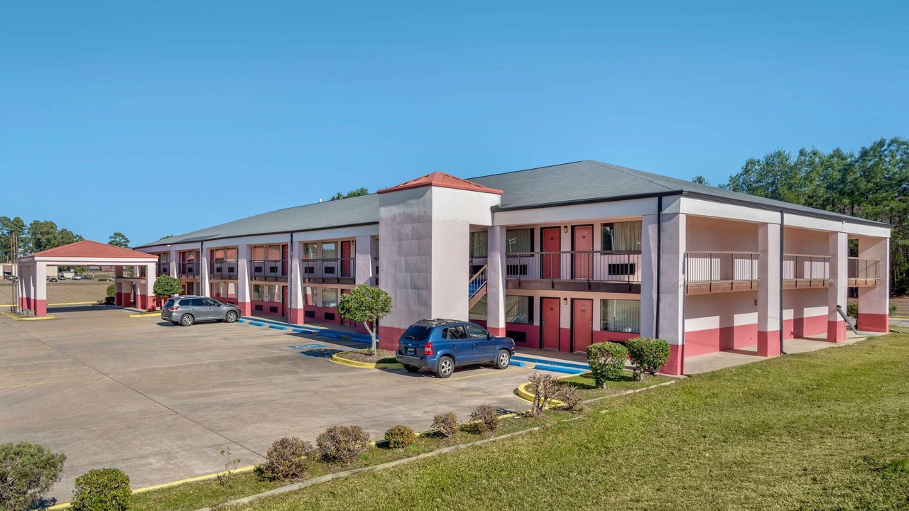 Photo of Outdoor in Forest