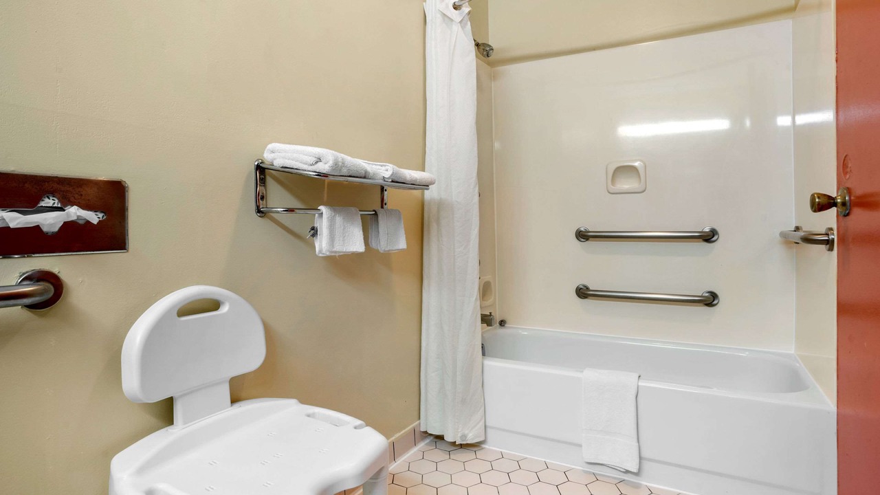 Photo of Others in Forest