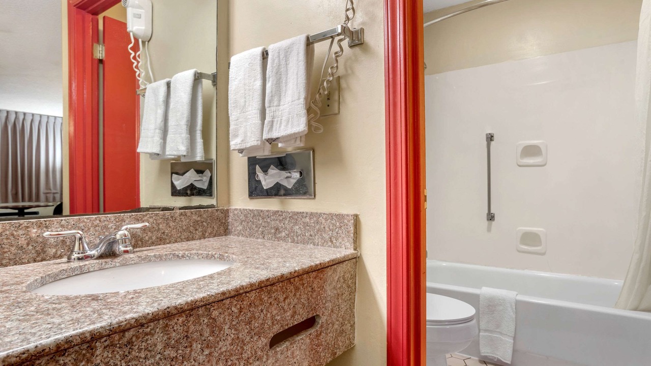 Photo of Others in Forest