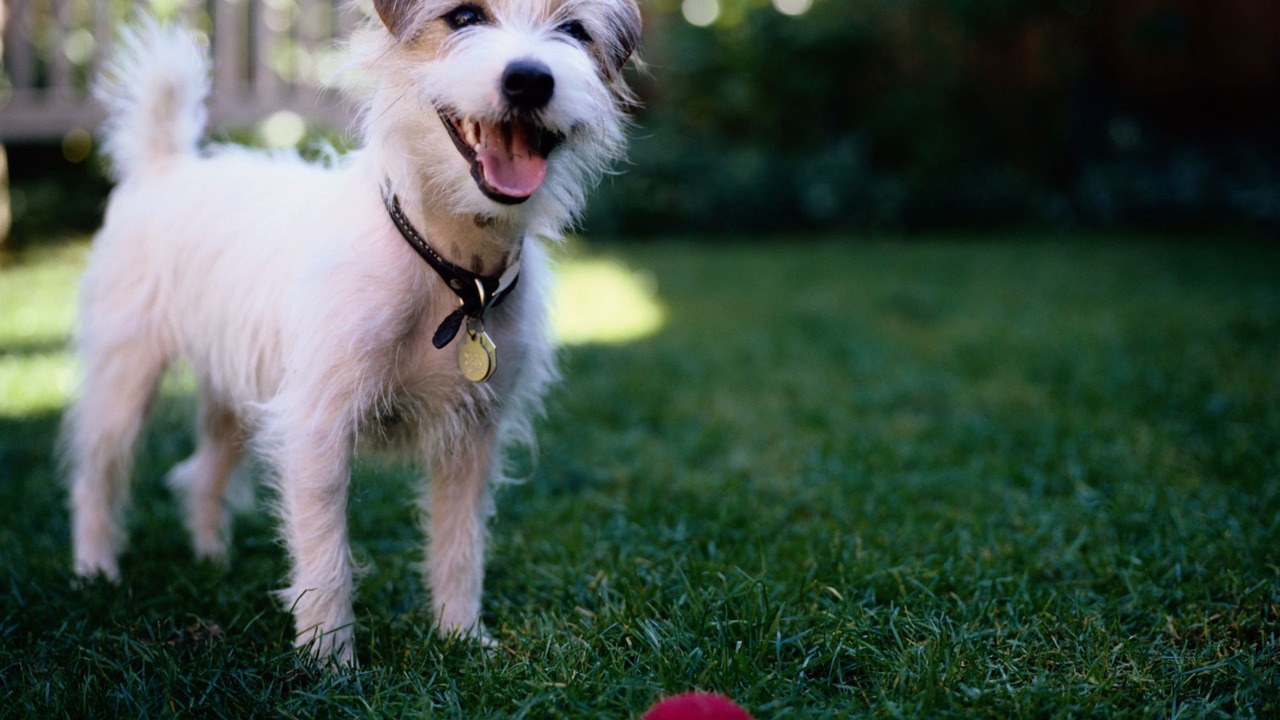Photo of Outdoor in Edmundston