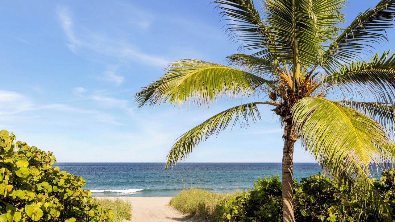 Photo of Others in Boca Raton