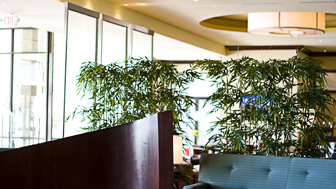 Photo of Others in Northlake