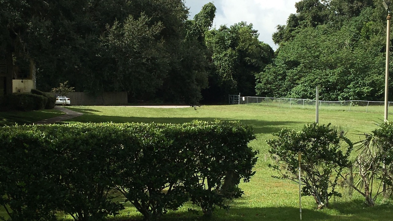 Photo of Outdoor in Ocala