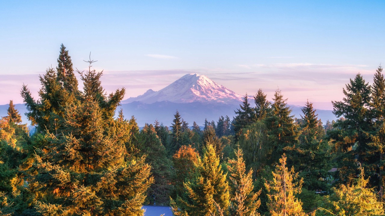 Photo of Patio Balcony in SeaTac