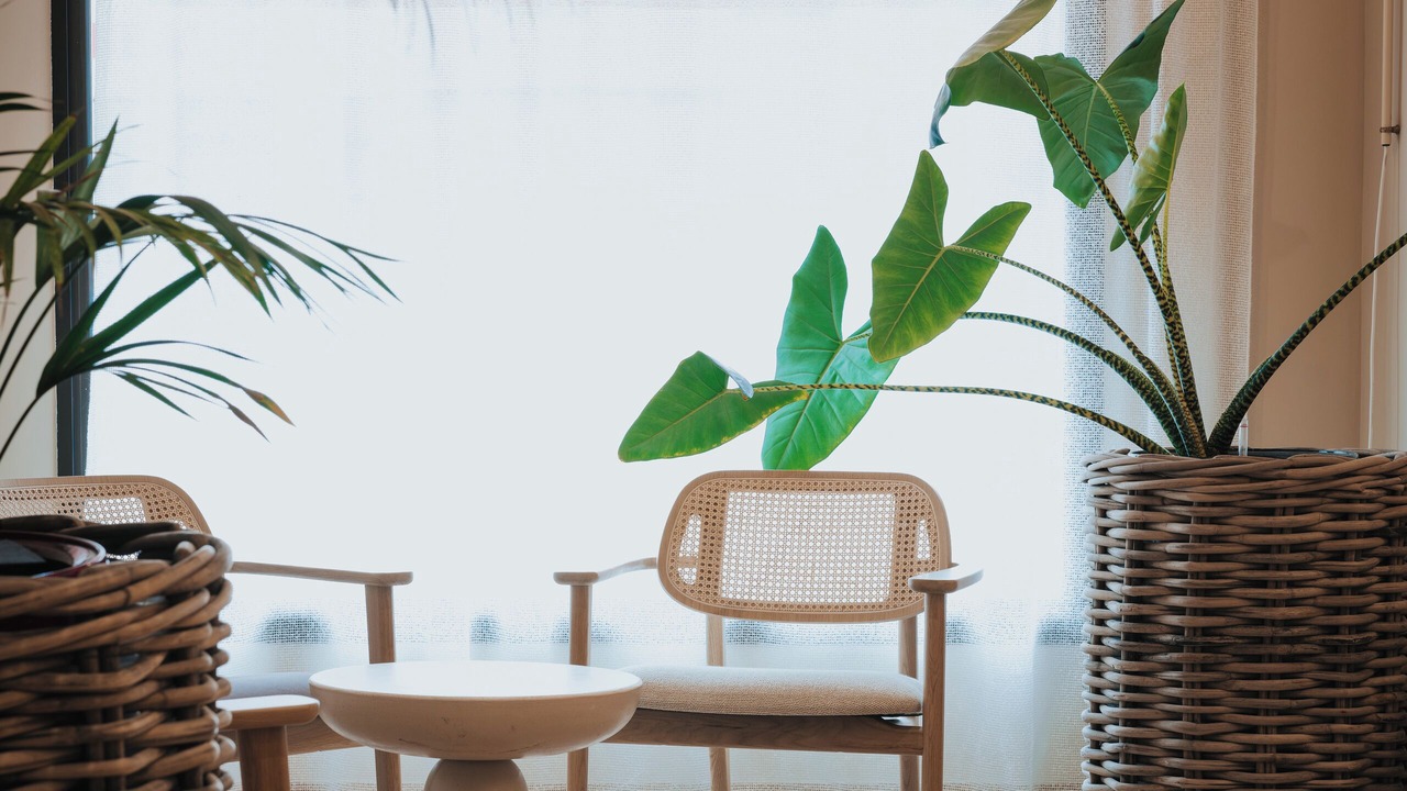 Photo of Others in Beaune