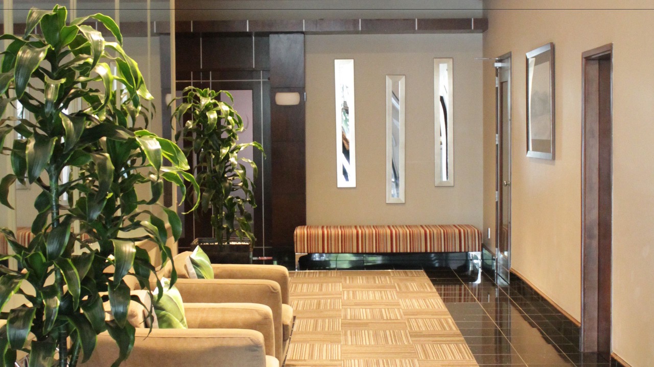 Photo of Others in Aro Valley