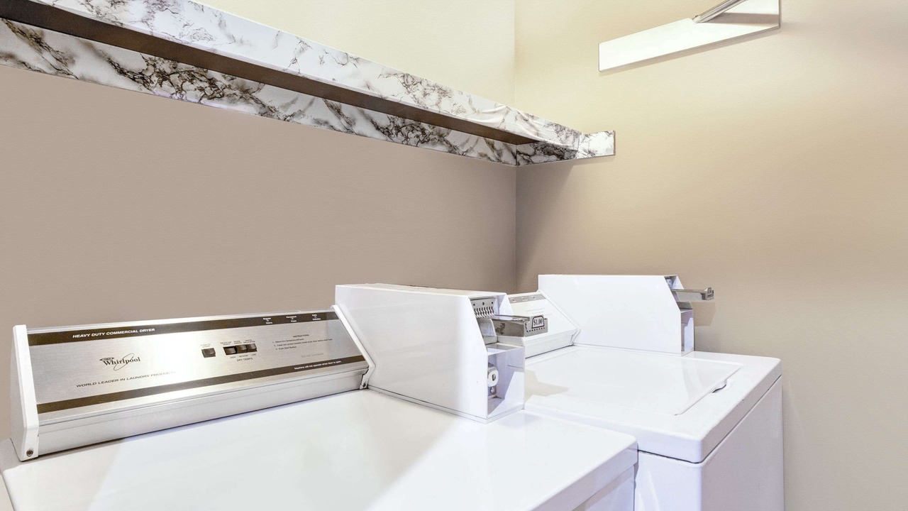 Photo of Others in Albany