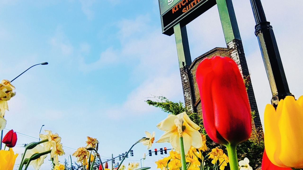 Photo of Outdoor in Oak Harbor