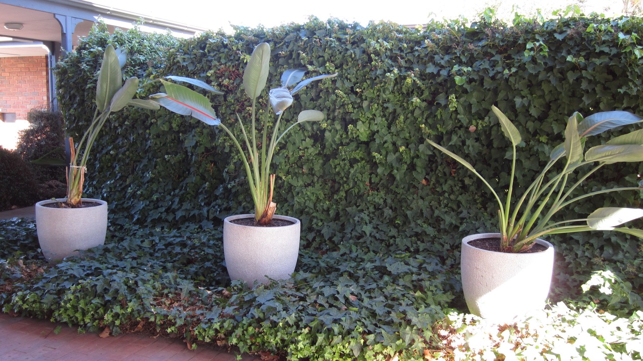 Photo of Outdoor in Golden Square