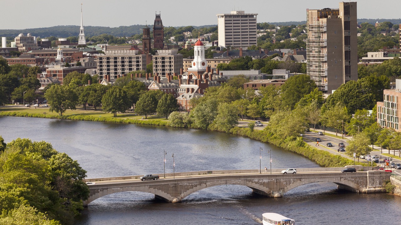 Photo of Others in Allston