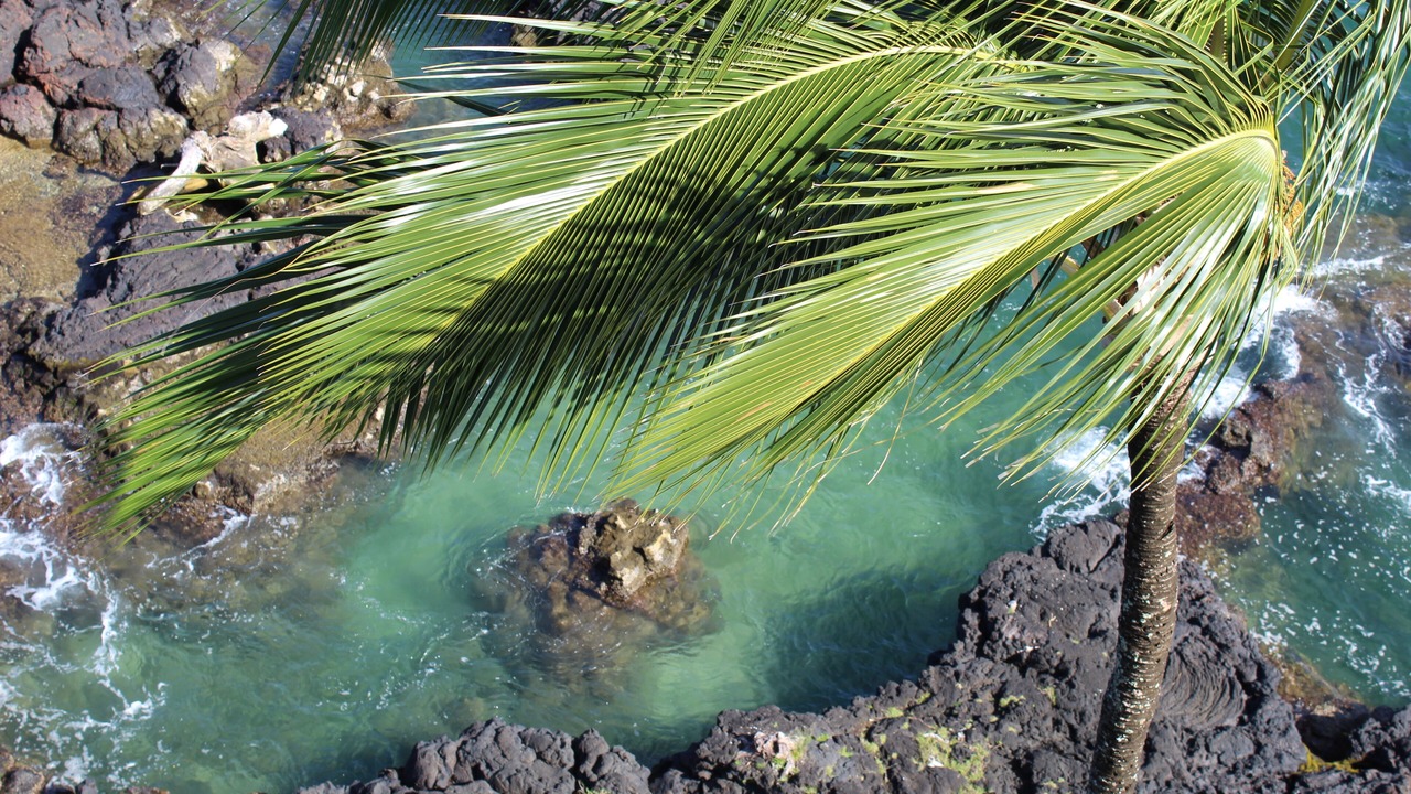 Photo of Bedroom in Hilo