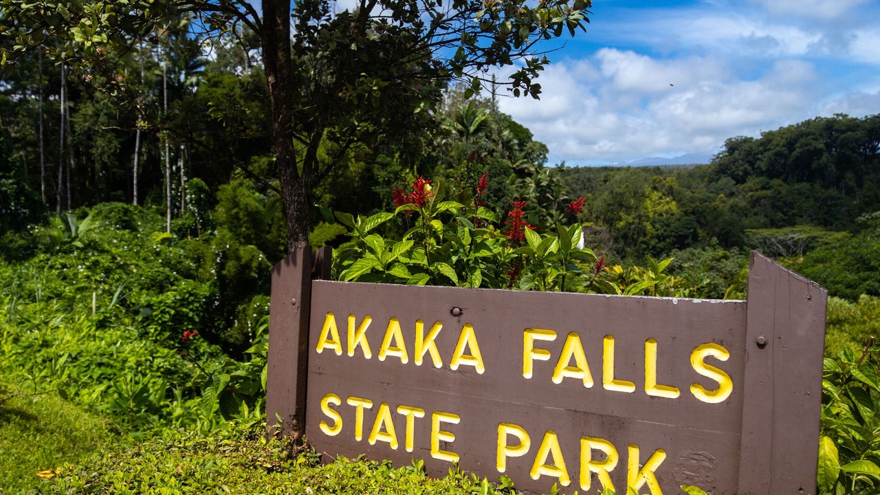Photo of Outdoor in Hilo