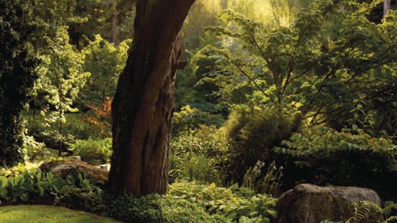 Photo of Outdoor in Taupo