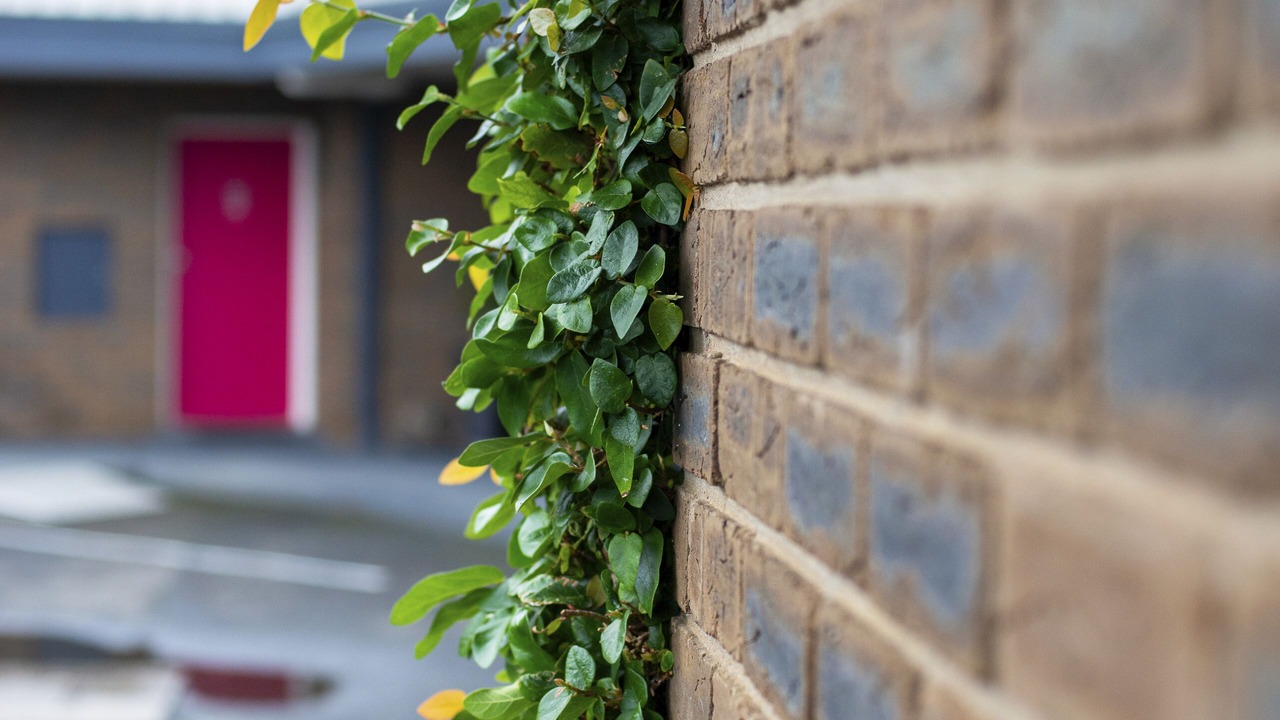 Photo of Outdoor in Sale