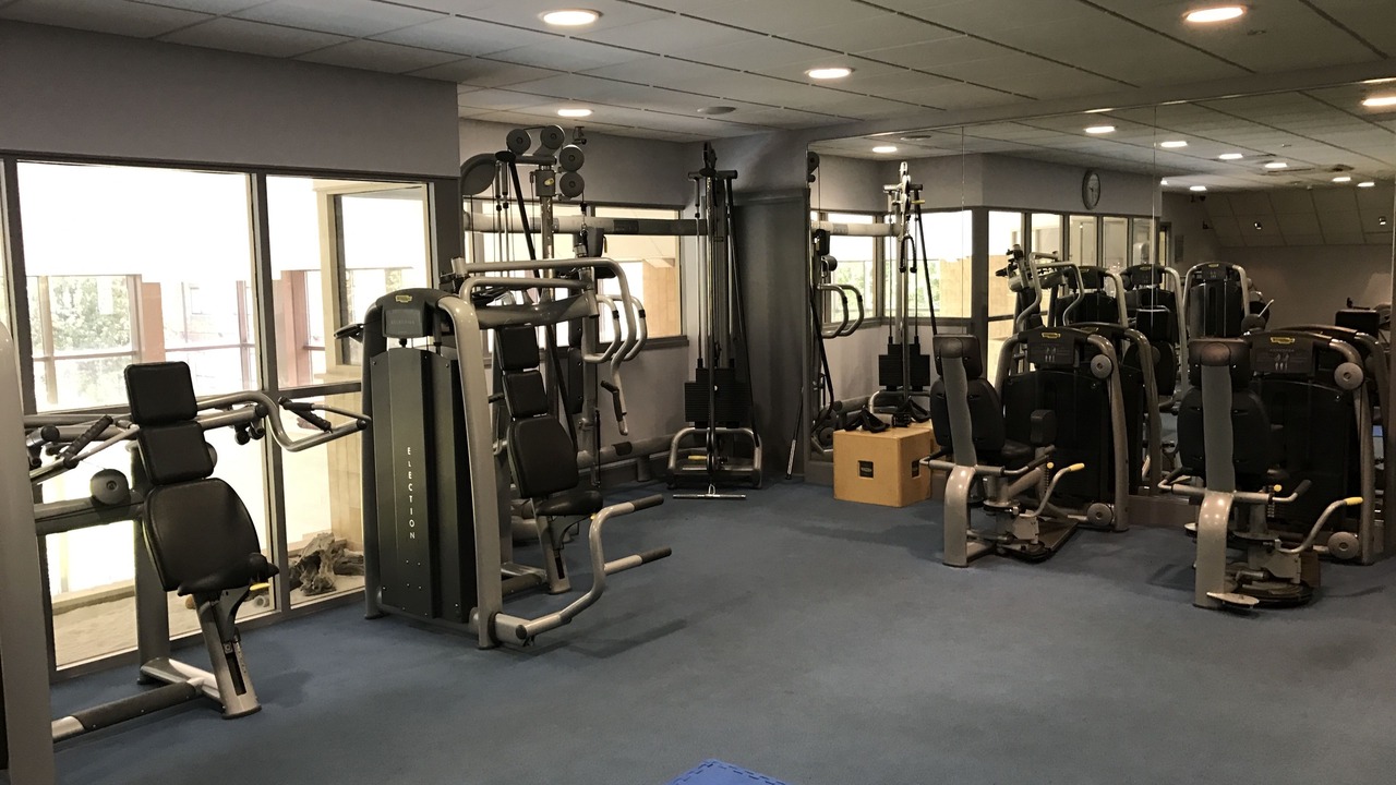 Photo of Others in Sheffield