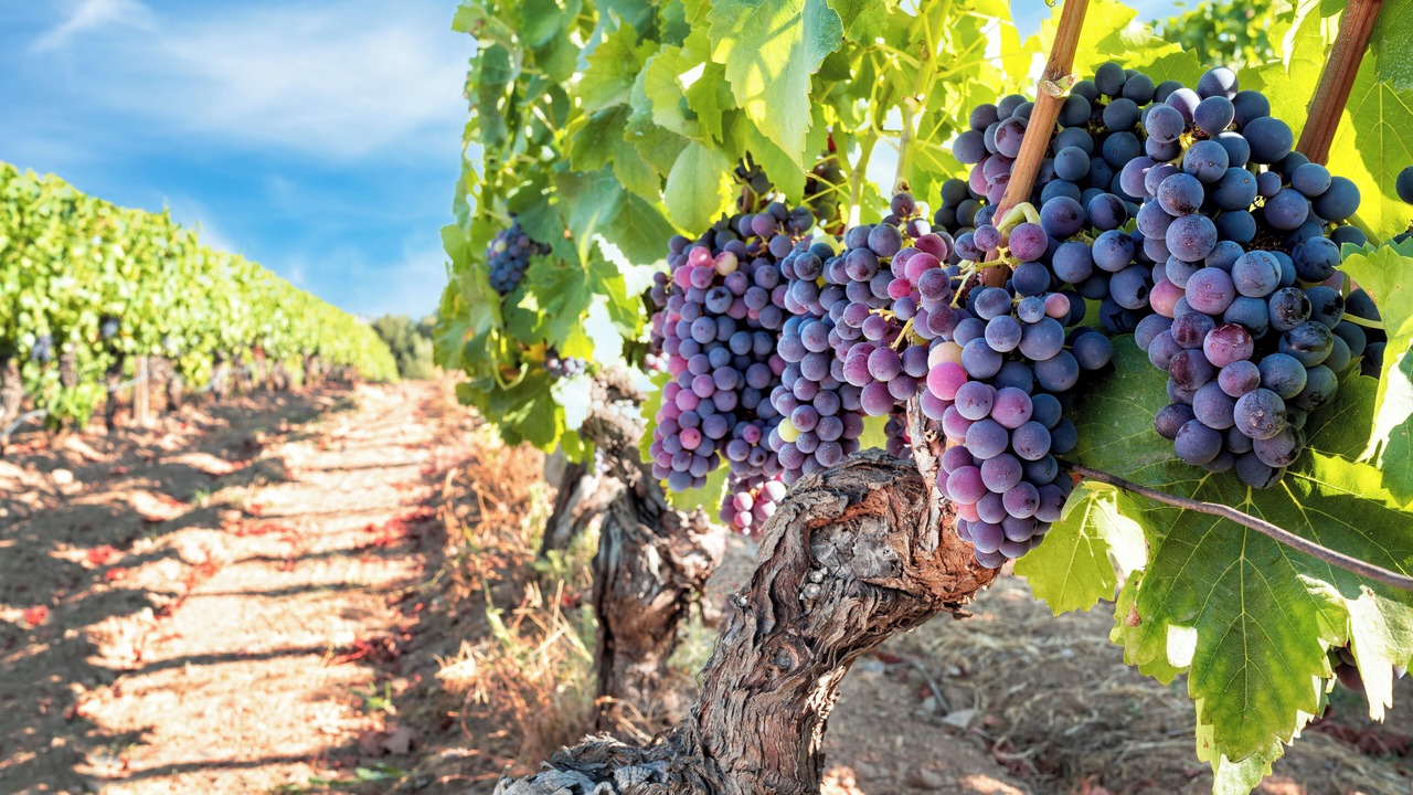 Photo of Others in Bloomington