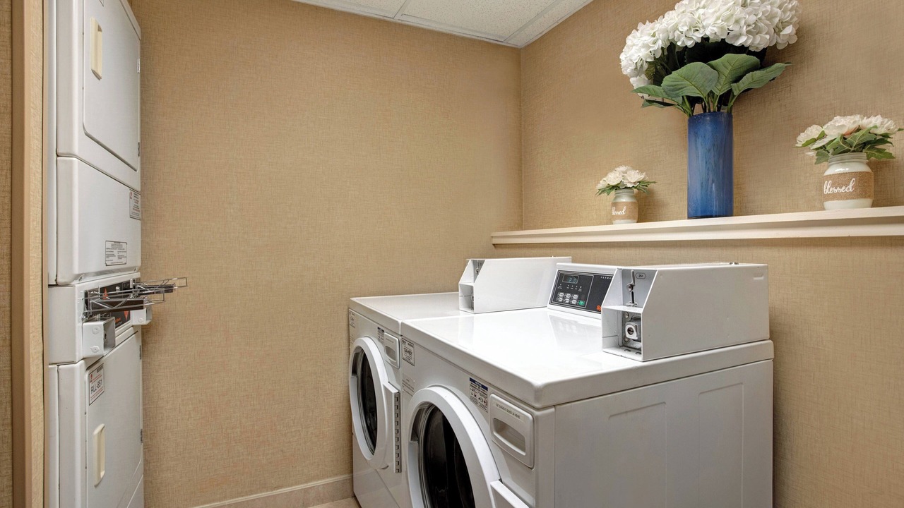 Photo of Others in Elmhurst