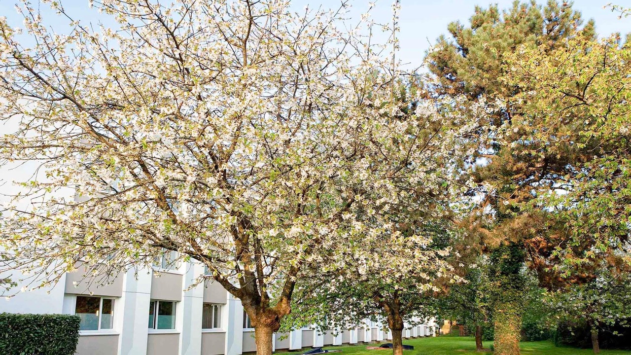 Photo of Others in Saclay