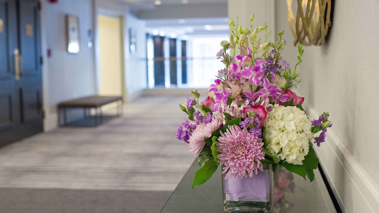 Photo of Others in Elizabeth