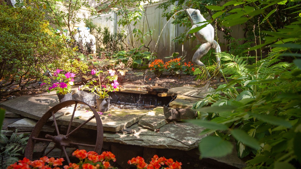 Photo of Outdoor in Downtown Halifax