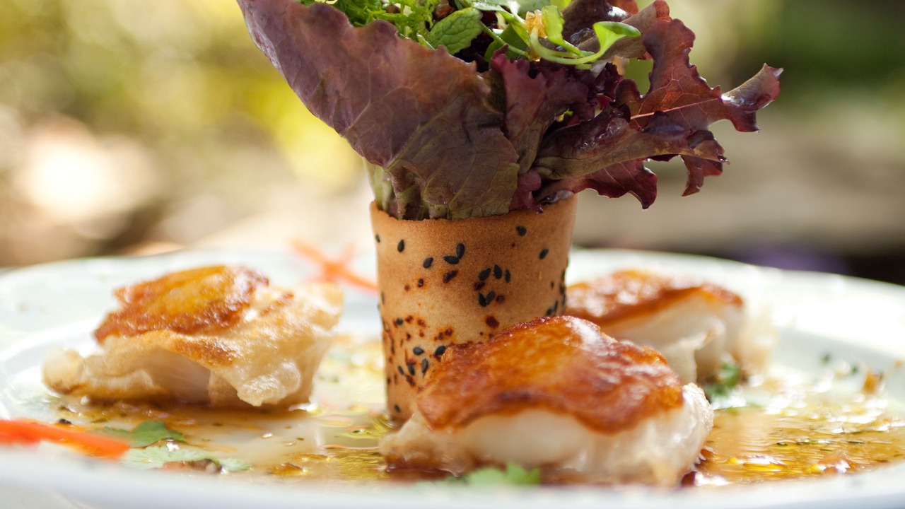 Photo of Others in Downtown Halifax