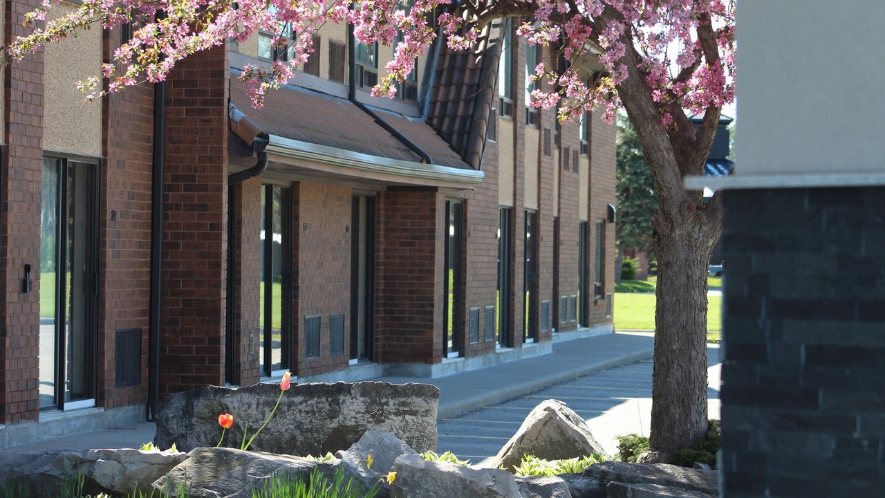 Photo of Outdoor in Chatham-Kent
