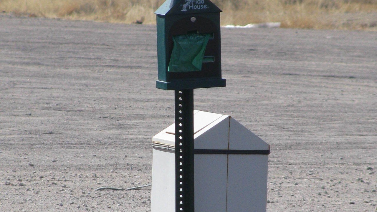 Photo of Others in Willcox