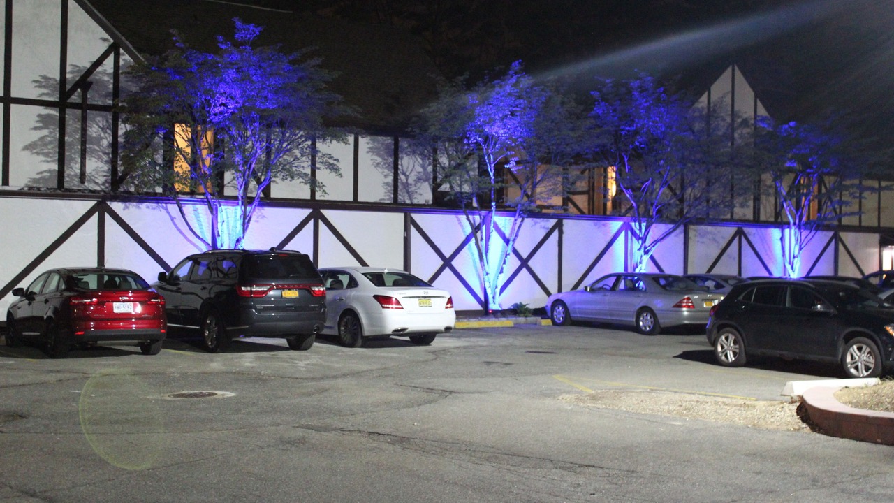 Photo of Others in East Norwich