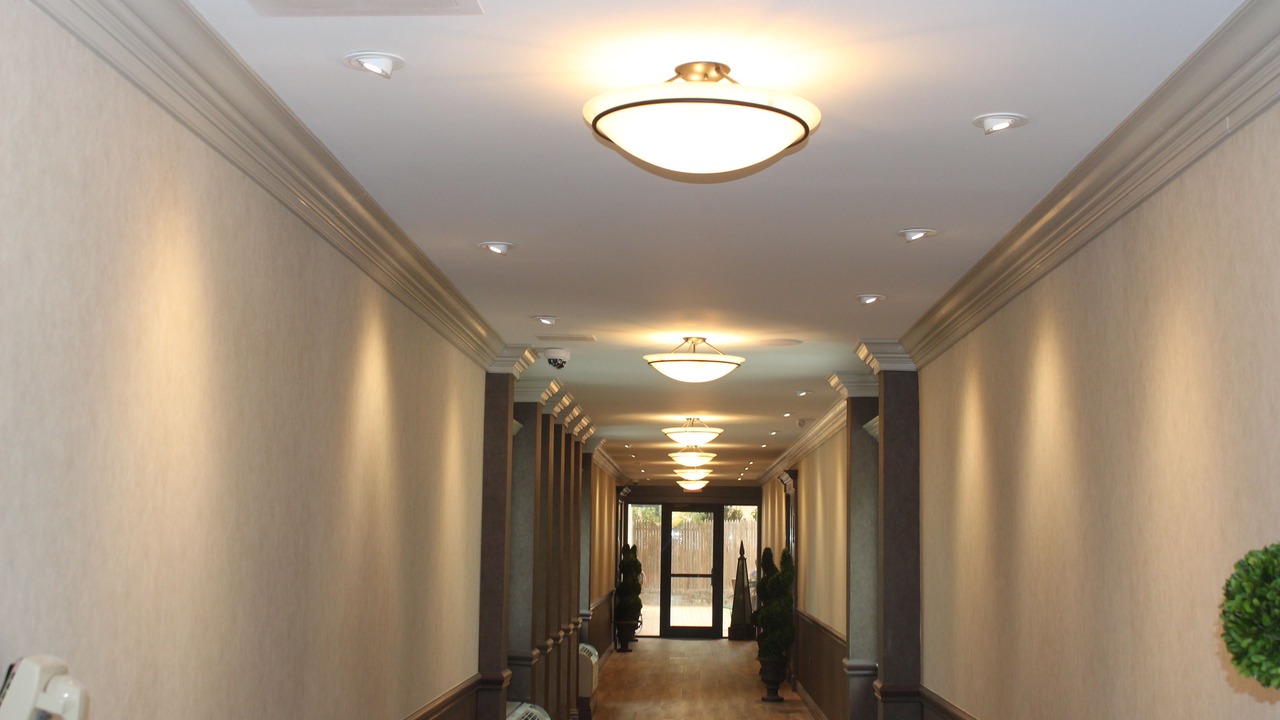 Photo of Others in East Norwich