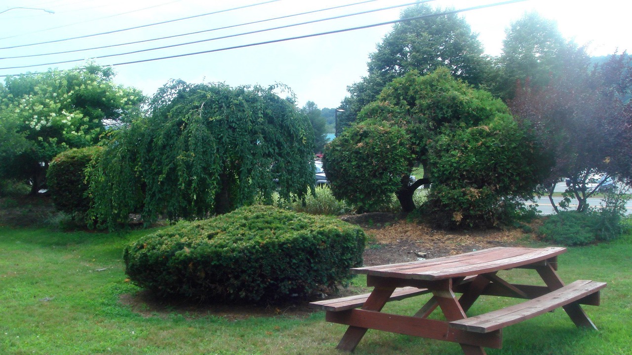 Photo of Outdoor in Brattleboro